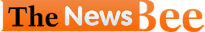 website health audit tool