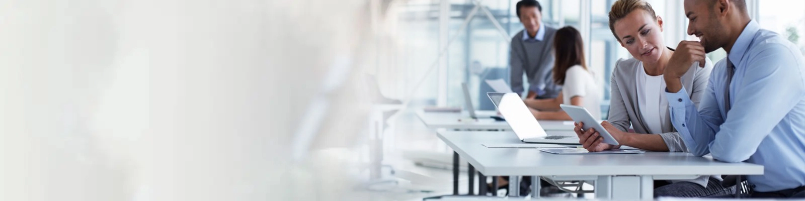 website health audit tool